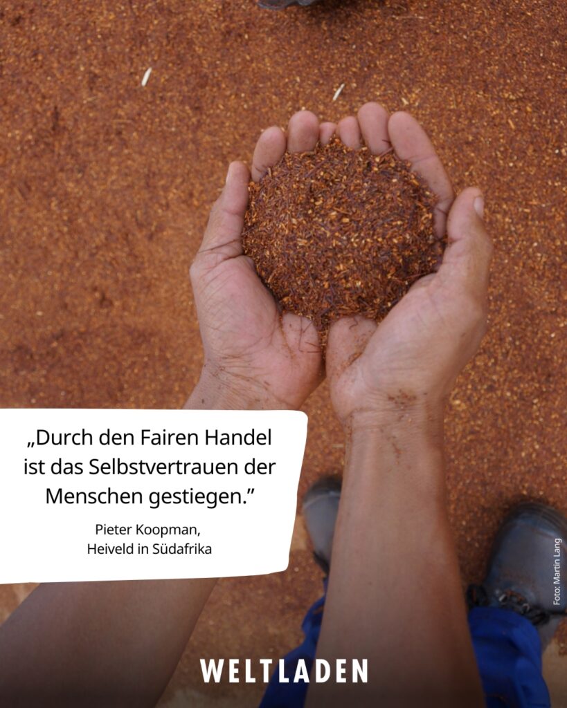 02_Tee | Heiveld, Südafrika – 2 Bild Hände zeigen Tee