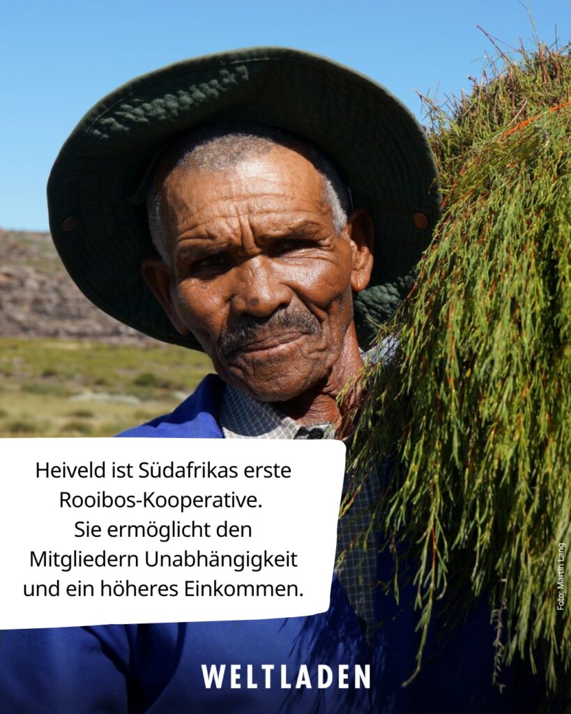 02_Tee | Heiveld, Südafrika – 3 Bild eines Teebauern